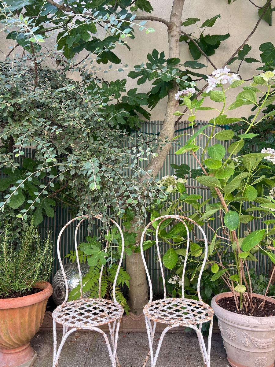 Paire de chaises de jardin XIXème