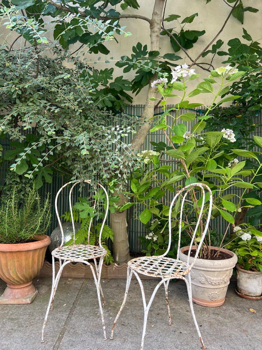 Paire de chaises de jardin XIXème