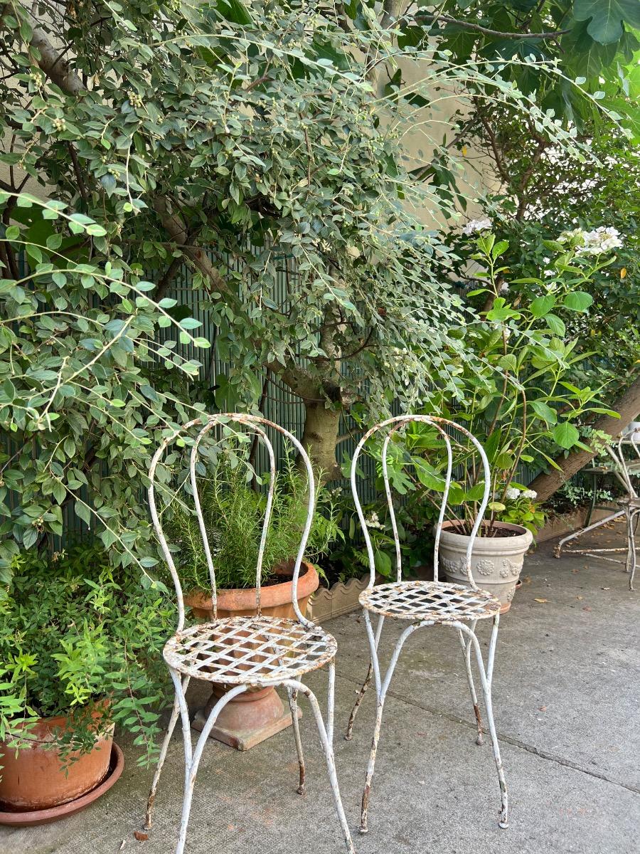 Paire de chaises de jardin XIXème